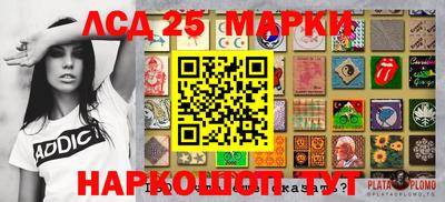 индика Партизанск
