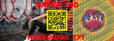 индика Партизанск