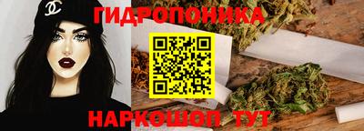 индика Партизанск