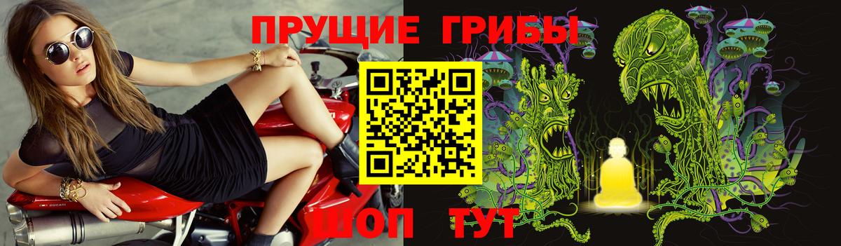 Партизанск  Псилоцибиновые грибы MAGIC MUSHROOMS  Вход с VPN  Псилоцибиновые грибы прущие грибы 