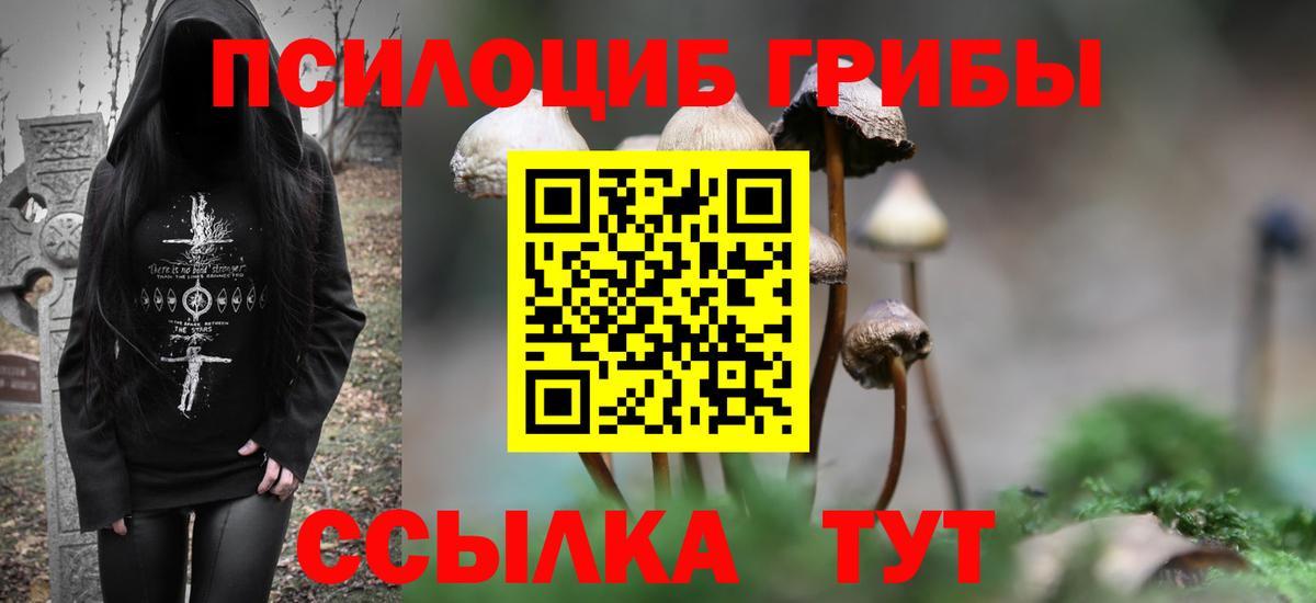 Галлюциногенные грибы Psilocybe Партизанск